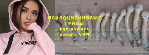 твердый Арсеньев