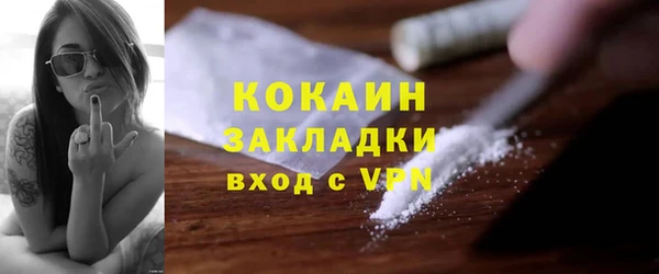 твердый Арсеньев