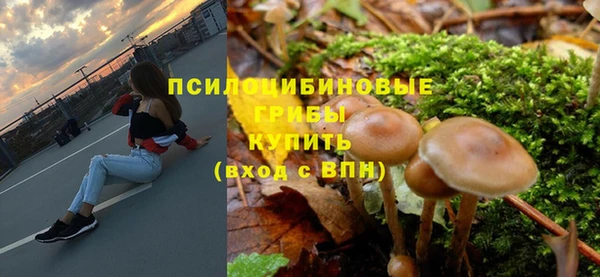 a pvp Аркадак